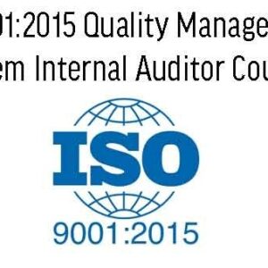Quality Management Auditor – Team Leader